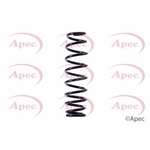 Apec Coil Spring Rear (ACS1386)