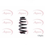Apec Coil Spring Rear (ACS1387)