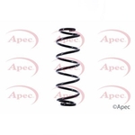Apec Coil Spring Rear (ACS1389)