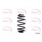 Apec Coil Spring Rear (ACS1392)
