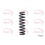 Apec Coil Spring Rear (ACS1393)