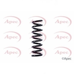 Apec Coil Spring Rear (ACS1395)