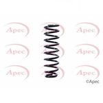 Apec Coil Spring Rear (ACS1396)