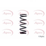 Apec Coil Spring Rear (ACS1397)