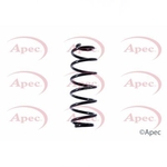 Apec Coil Spring Rear (ACS1399)