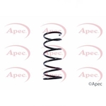 Apec Coil Spring Rear (ACS1400)