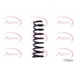 Apec Coil Spring Rear (ACS1401)