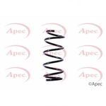 Apec Coil Spring Front (ACS1402)