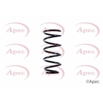 Apec Coil Spring Rear (ACS1407)