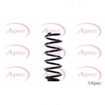 Apec Coil Spring Rear (ACS1409)