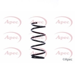 Apec Coil Spring Front (ACS1411)