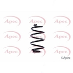 Apec Coil Spring Rear (ACS1413)