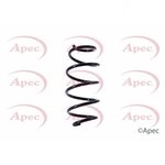 Apec Coil Spring Front (ACS1416)