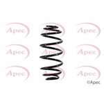 Apec Coil Spring Rear (ACS1417)