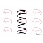 Apec Coil Spring Front (ACS1419)