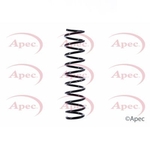 Apec Coil Spring Rear (ACS1425)