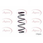 Apec Coil Spring Front (ACS1427)