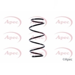 Apec Coil Spring Front (ACS1438)