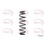 Apec Coil Spring Rear (ACS1439)