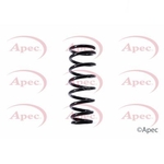 Apec Coil Spring Rear (ACS1444)