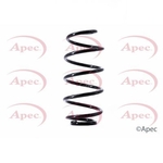 Apec Coil Spring Front (ACS1447)