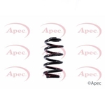 Apec Coil Spring Rear (ACS1448)