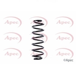 Apec Coil Spring Rear (ACS1453)