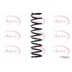 Apec Coil Spring Rear (ACS1459)