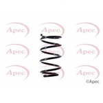 Apec Coil Spring Front (ACS1463)