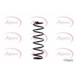 Apec Coil Spring Rear (ACS1466)