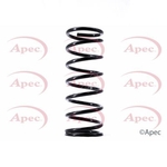 Apec Coil Spring Front (ACS1483)