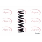 Apec Coil Spring Rear (ACS1486)