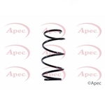 Apec Coil Spring Front (ACS1487)