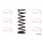 Apec Coil Spring Rear (ACS1488)