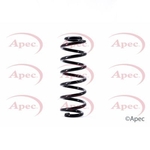 Apec Coil Spring Rear (ACS1489)