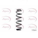 Apec Coil Spring Rear (ACS1491)