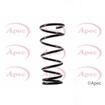 Apec Coil Spring Rear (ACS1506)