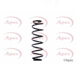 Apec Coil Spring Rear (ACS1516)
