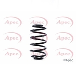 Apec Coil Spring Rear (ACS1522)