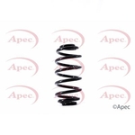 Apec Coil Spring Rear (ACS1533)