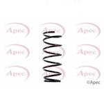 Apec Coil Spring Rear (ACS1535)