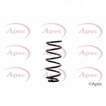 Apec Coil Spring Rear (ACS1537)