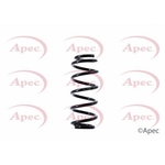 Apec Coil Spring Rear (ACS1539)