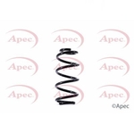 Apec Coil Spring Rear (ACS1541)
