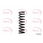 Apec Coil Spring Rear (ACS1542)