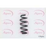 Apec Coil Spring Rear (ACS1550)