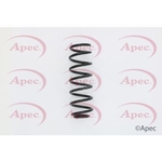 Apec Coil Spring Rear (ACS1560)