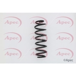 Apec Coil Spring Rear (ACS1569)
