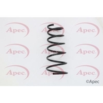 Apec Coil Spring Front (ACS1579)