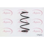 Apec Coil Spring Front (ACS1582)